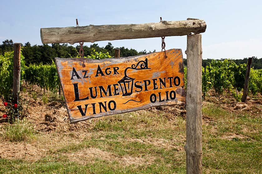 Azienda Agricola Passo del Lume Spento