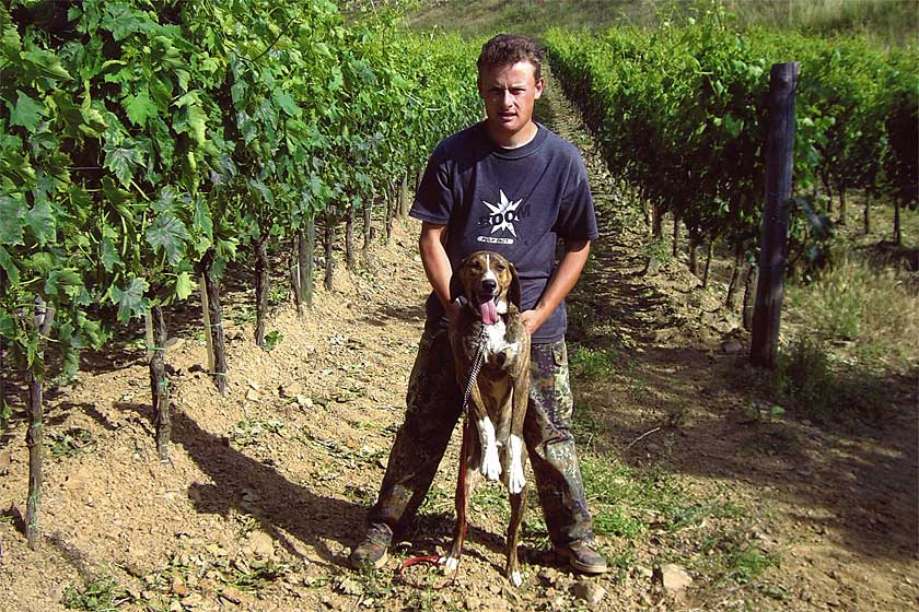 Dog in  Wineyard - Passo del Lume Spento